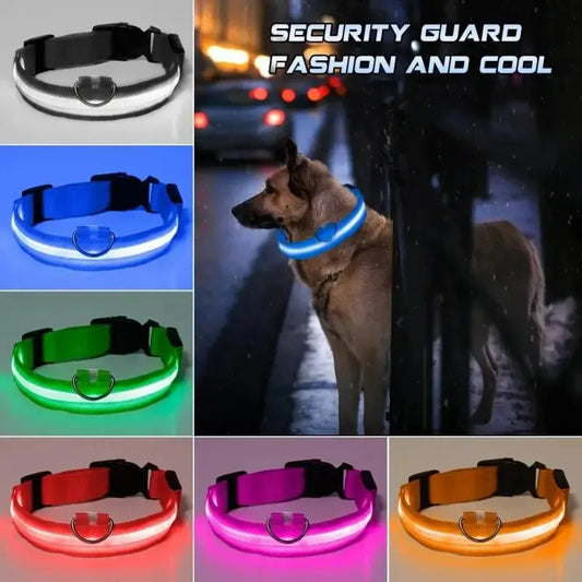 Hunde LED-Halsband